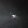 jsbright81